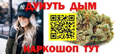 гидра Гагарин