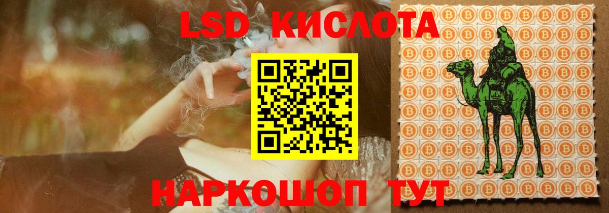 Лсд 25 экстази кислота  Вход с VPN  Грозный  Лсд 25 экстази кислота 