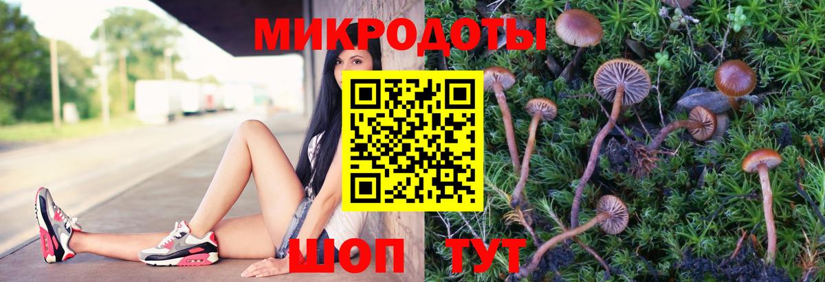 Грозный  Галлюциногенные грибы мицелий  Галлюциногенные грибы Psilocybine cubensis  Вход с VPN 