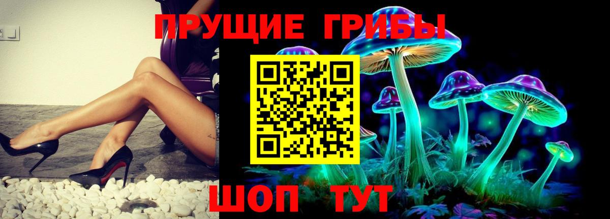 Галлюциногенные грибы ЛСД Грозный